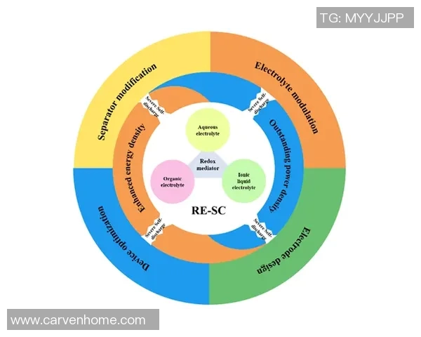 深圳排球队在杯赛中的战术表现分析与未来发展展望